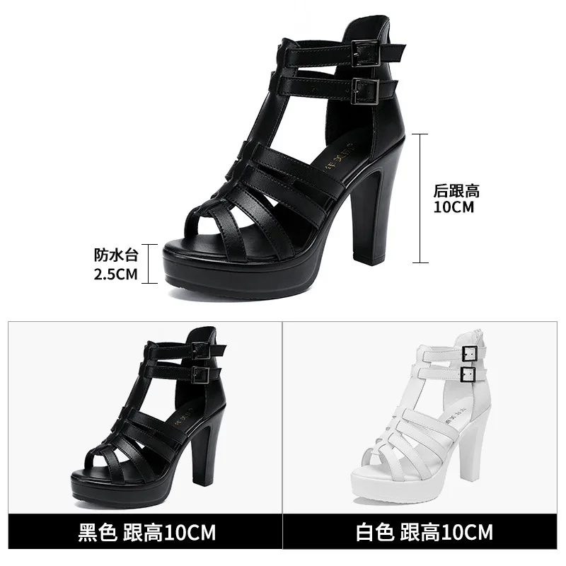 Gladiator Ladies Shoe for Wome - Summer Clothing Stores 评论和价格